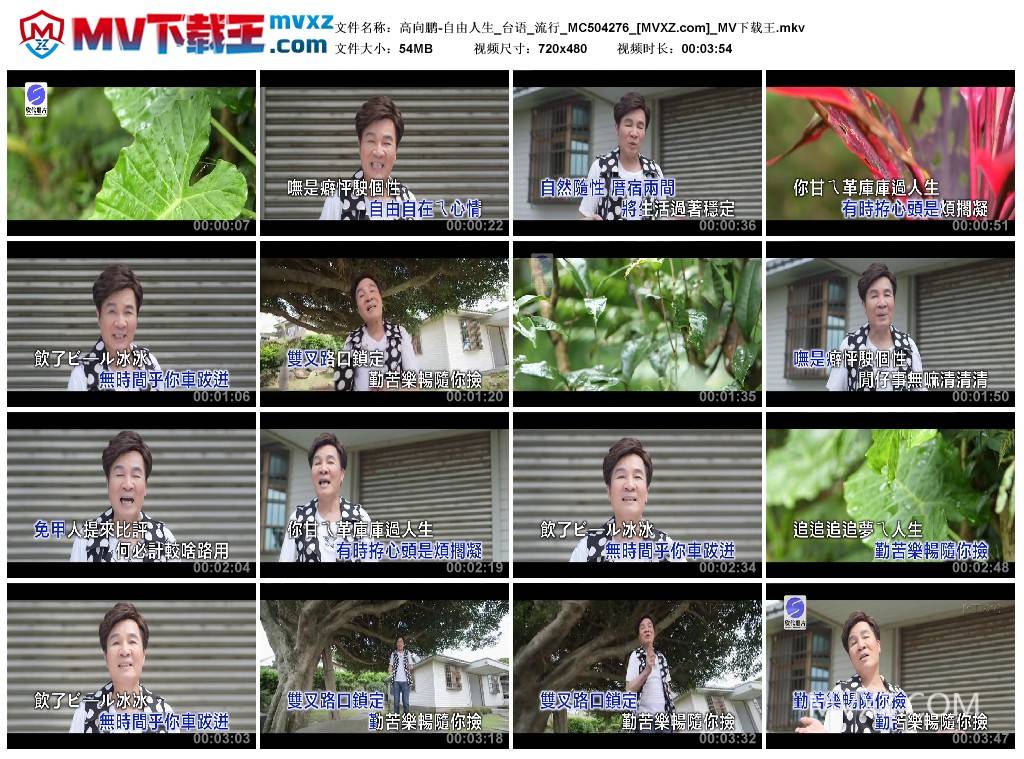 高向鹏-自由人生_台语_流行_MC504276